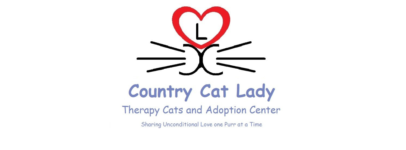 Sponsor — Country Cat Lady